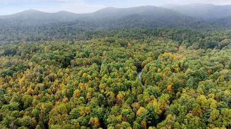 115 Juniper Court Sapphire NC 28774