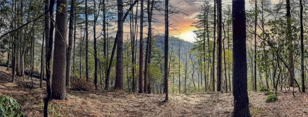 Lot 9 Saratay Falls Drive Cashiers NC 28717