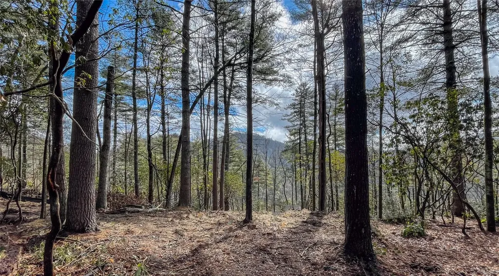 Lot 9 Saratay Falls Drive Cashiers NC 28717