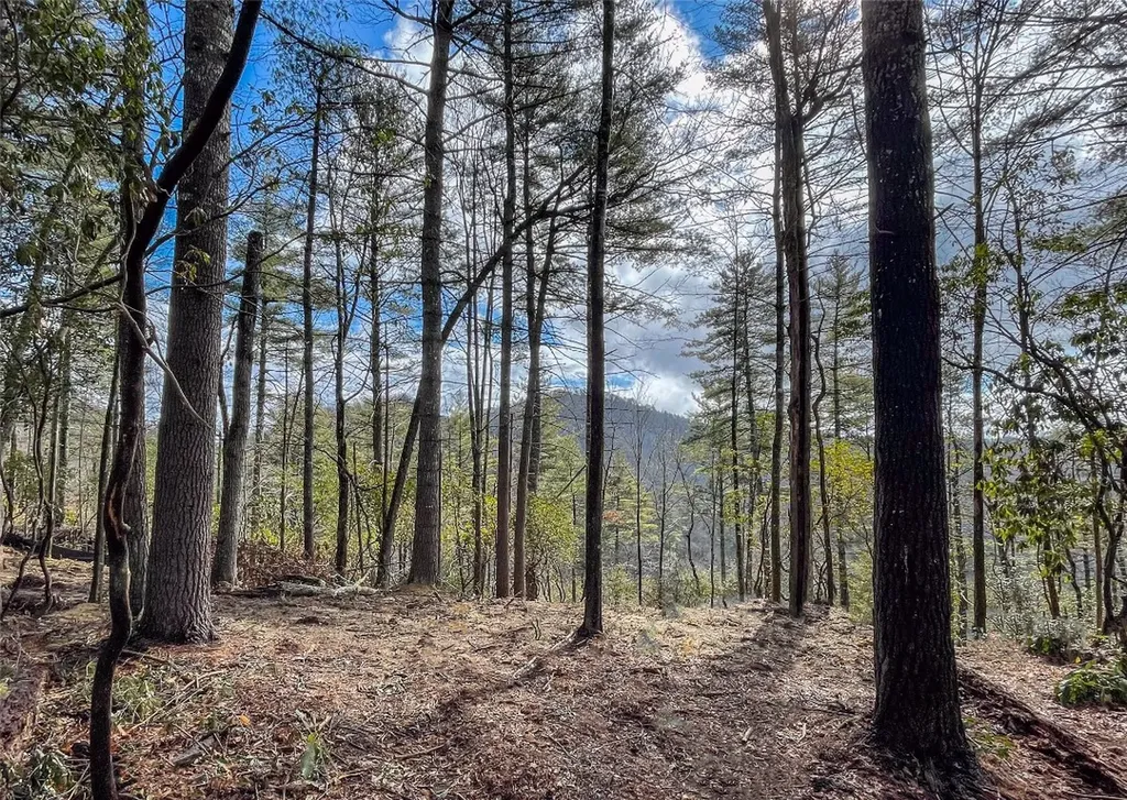 Lot 9 Saratay Falls Drive Cashiers NC 28717