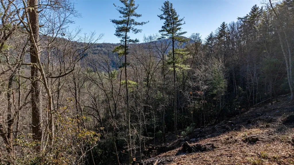 Lot 9 Saratay Falls Drive Cashiers NC 28717