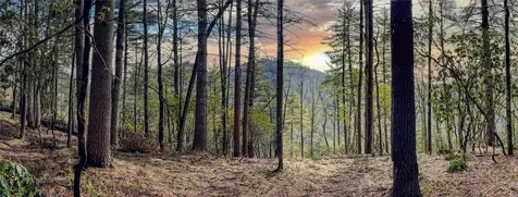 Lot 9 Saratay Falls Drive Cashiers NC 28717