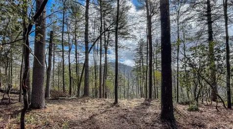 Lot 9 Saratay Falls Drive Cashiers NC 28717