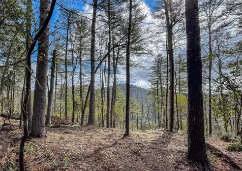 Lot 9 Saratay Falls Drive Cashiers NC 28717