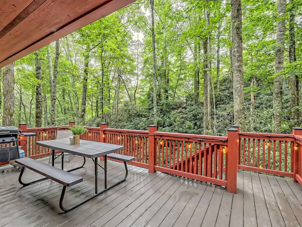 767 Driver Lane Sky Valley GA 30537