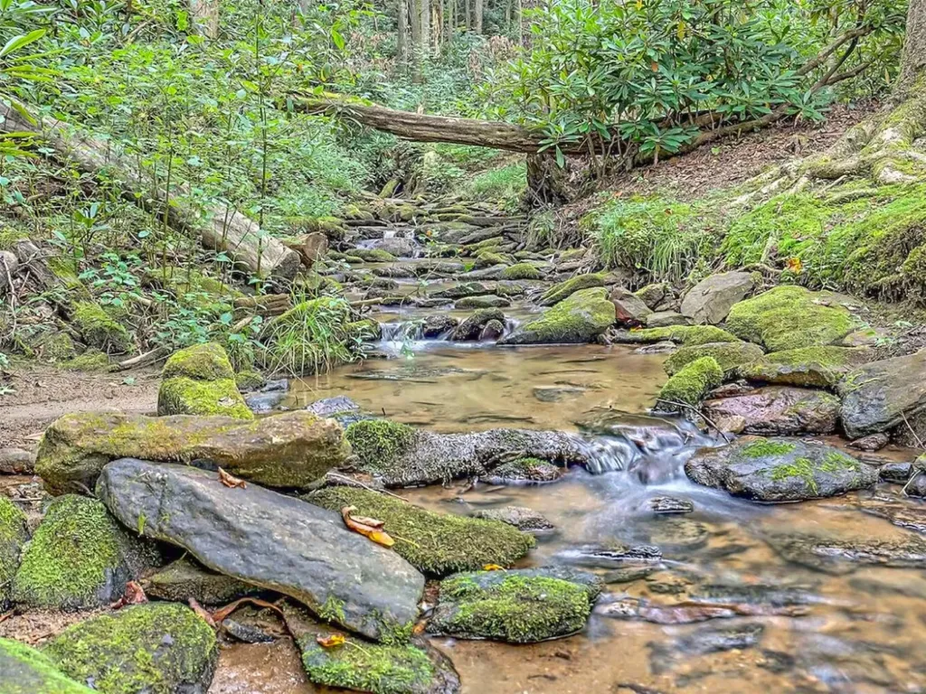 767 Driver Lane Sky Valley GA 30537