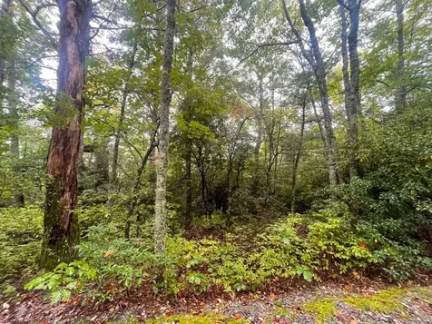 Lot 22 Eastern Summit Road Cashiers NC 28717