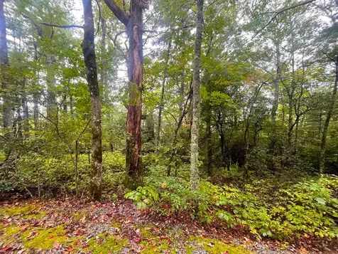Lot 22 Eastern Summit Road Cashiers NC 28717