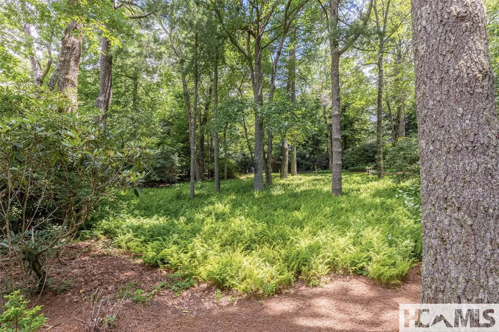 812 Ravenel Ridge Road Highlands NC 28741