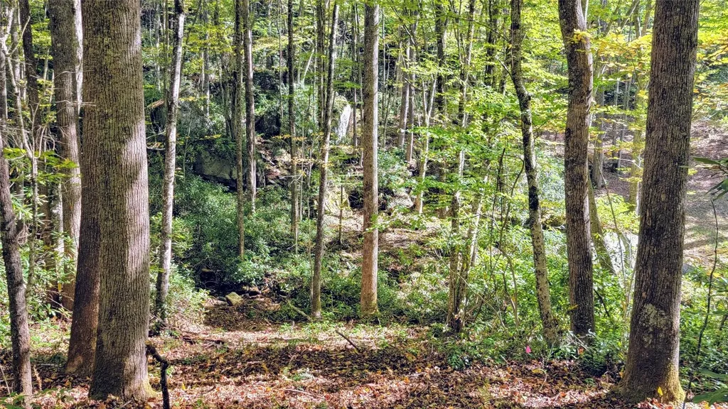Lot P Spikemoss Road Sapphire NC 28774