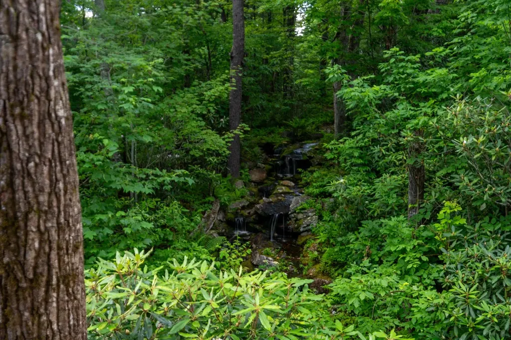 150 Old Hunters Run Cashiers NC 28717