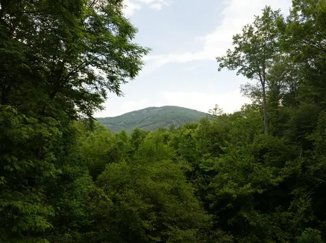 150 Old Hunters Run Cashiers NC 28717