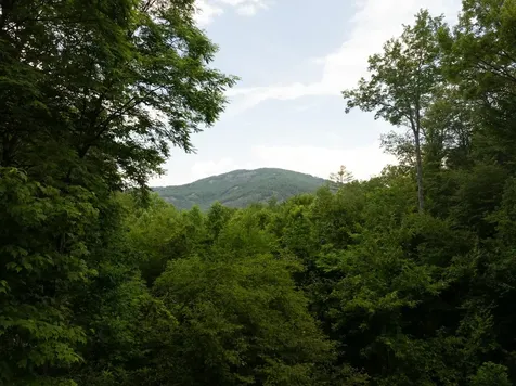 150 Old Hunters Run Cashiers NC 28717