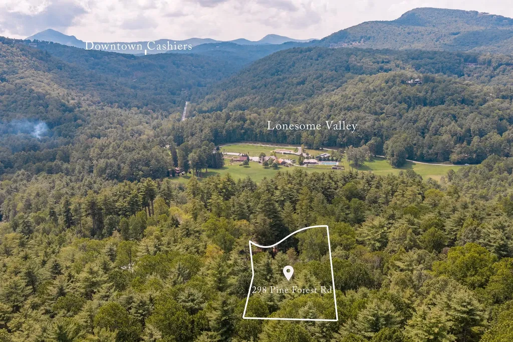 298 Pine Forest Road Sapphire NC 28774