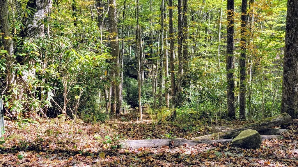 Lot S Speckled Feather Pass Sapphire NC 28774