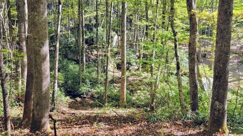 Lot Q Spikemoss Road Sapphire NC 28774