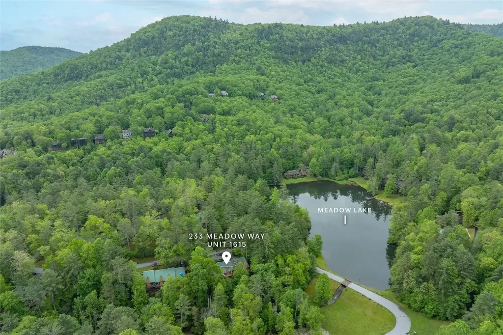 233 Meadow Way Sapphire NC 28774