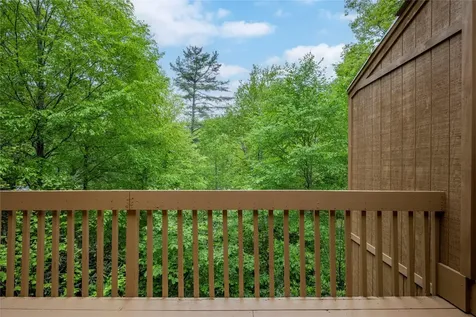 233 Meadow Way Sapphire NC 28774