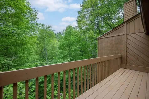 233 Meadow Way Sapphire NC 28774