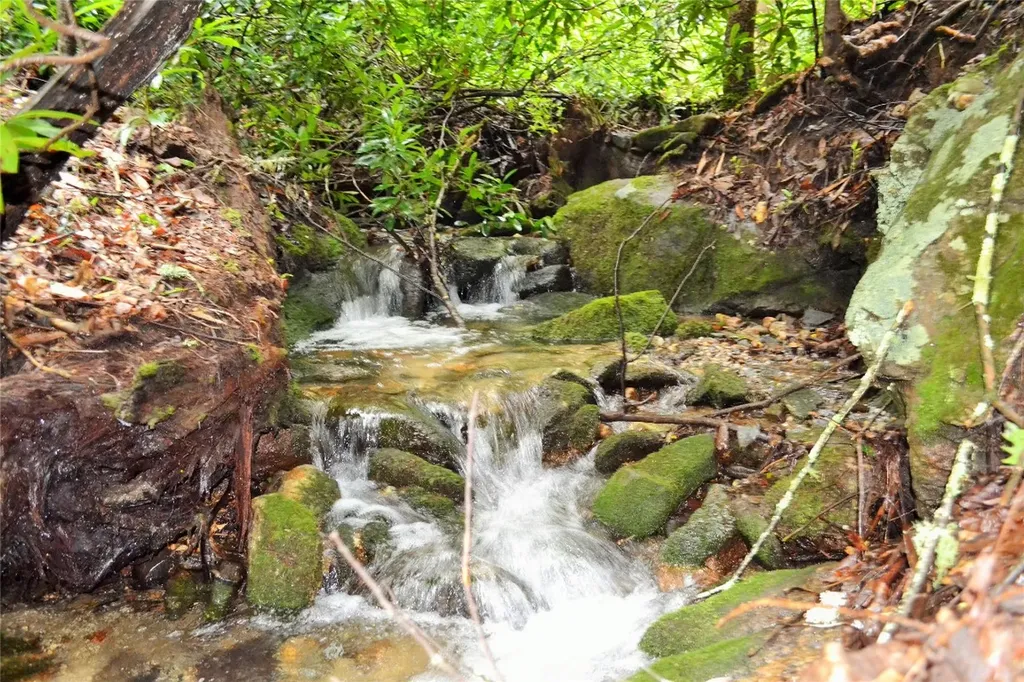 Lot H Speckled Feather Pass Sapphire NC 28774
