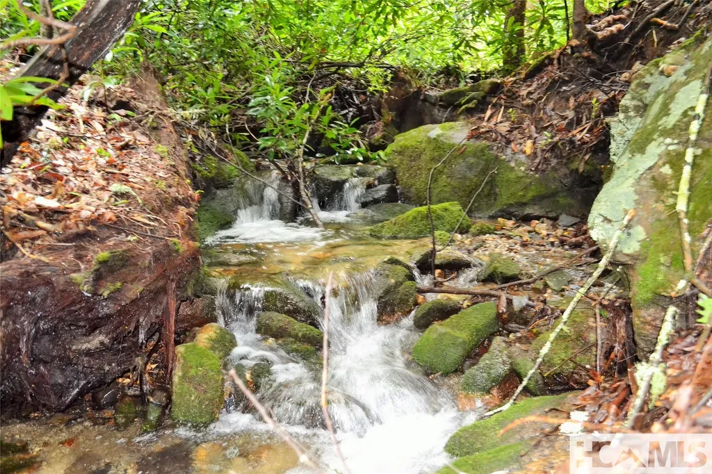 Lot Hs Speckled Feather Pass Sapphire NC 28774