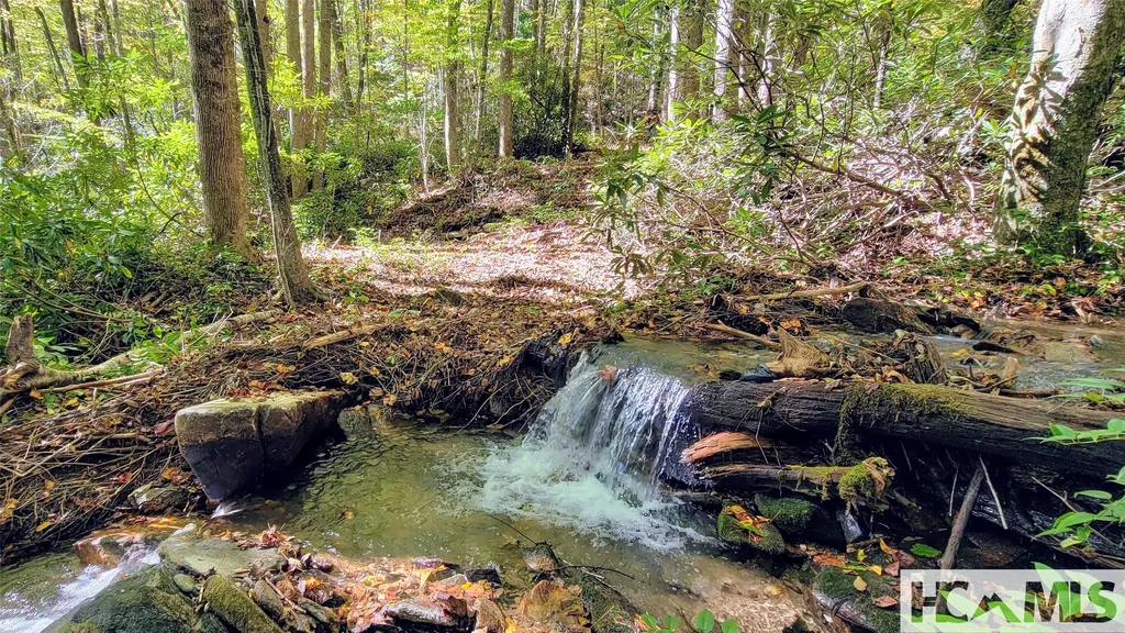 Lot H Speckled Feather Pass Sapphire NC 28774