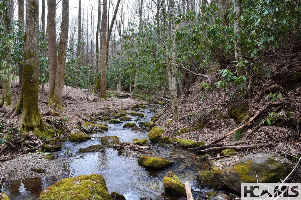 Lot H Speckled Feather Pass Sapphire NC 28774