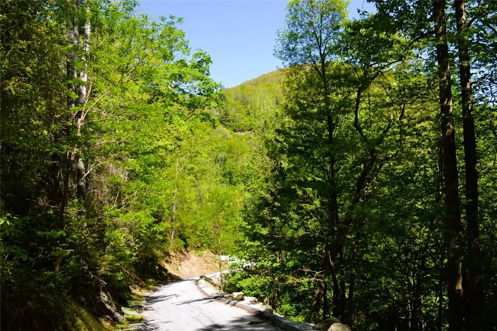 Lot 21 Speckled Feather Pass Sapphire NC 28774
