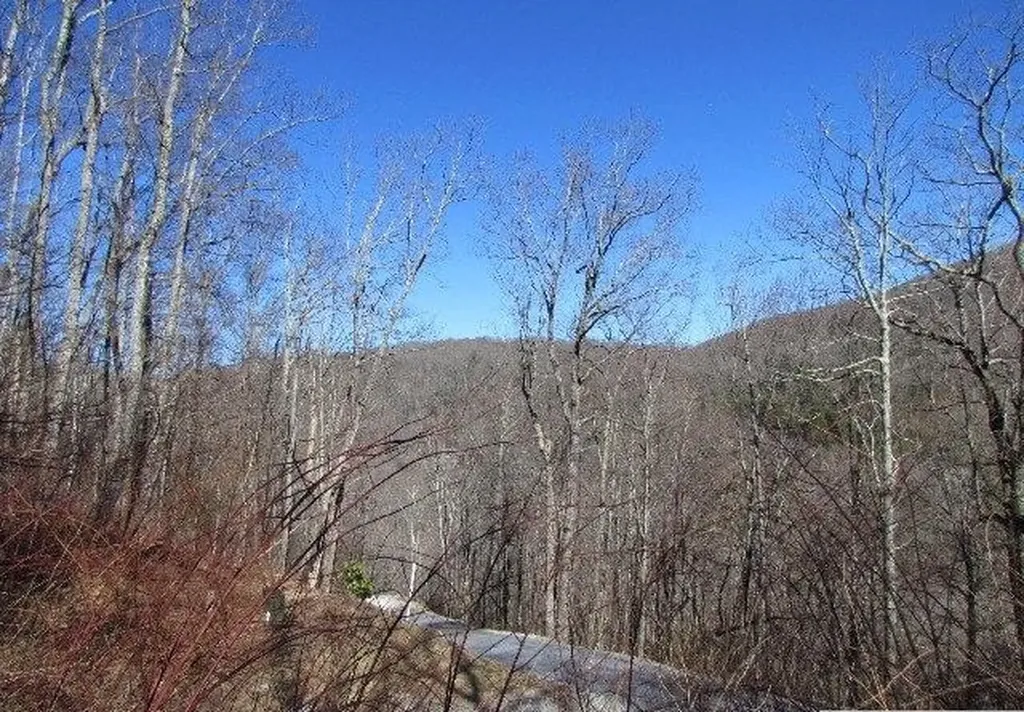 Lot 20 Speckled Feather Pass Sapphire NC 28774
