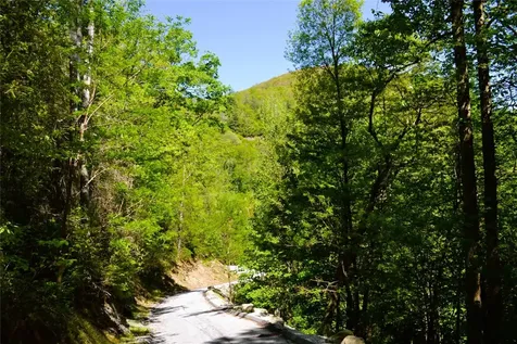 Lot 20 Speckled Feather Pass Sapphire NC 28774