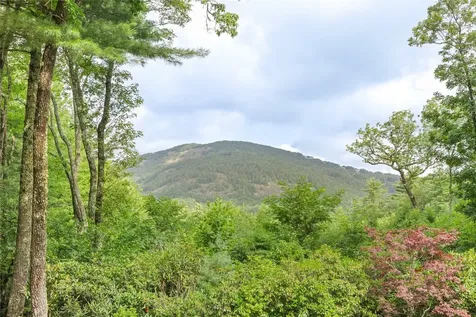 895 W Rochester Drive Cashiers NC 28717