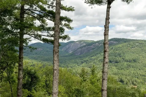 343 Ledgeview Road Cashiers NC 28717