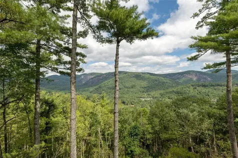 343 Ledgeview Road Cashiers NC 28717