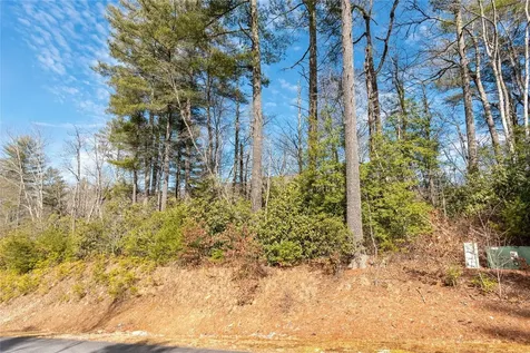Lot 2 Heritage Drive Sapphire NC 28774