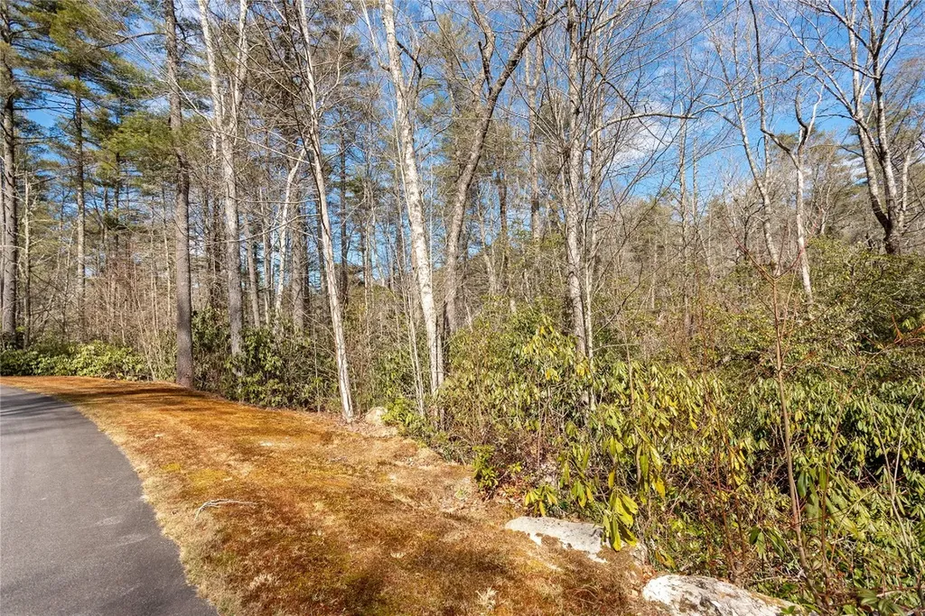 Lot 1 Heritage Drive Sapphire NC 28774