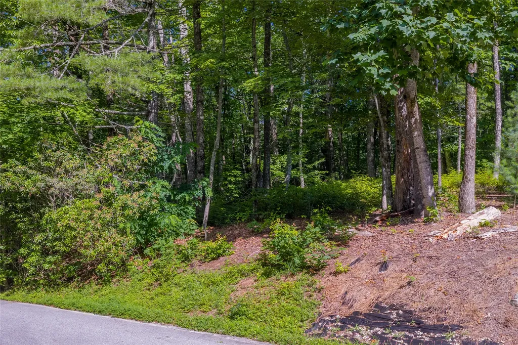 Lot 4 Laurel Drive Sapphire NC 28774