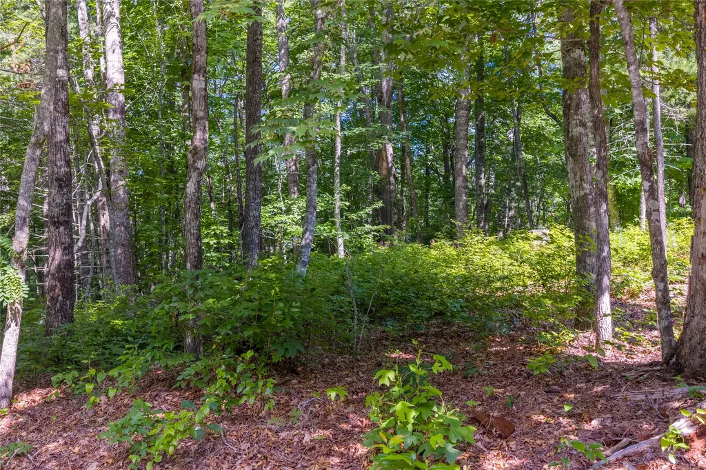 Lot 4 Laurel Drive Sapphire NC 28774