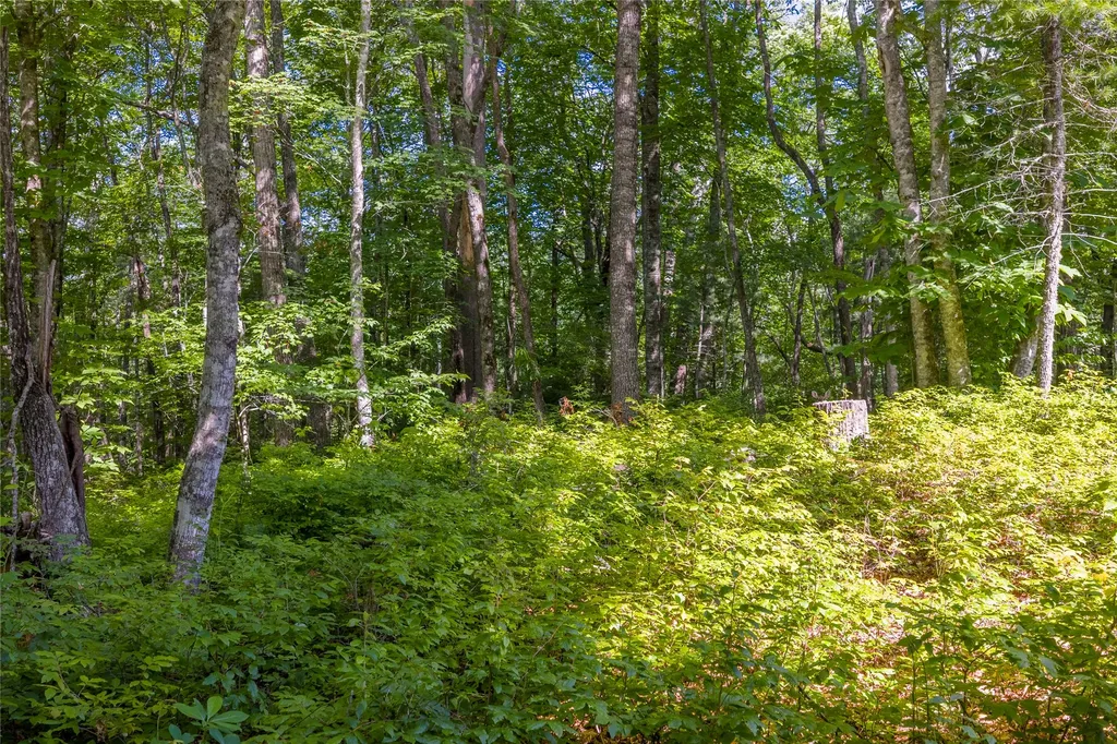 Lot 4 Laurel Drive Sapphire NC 28774