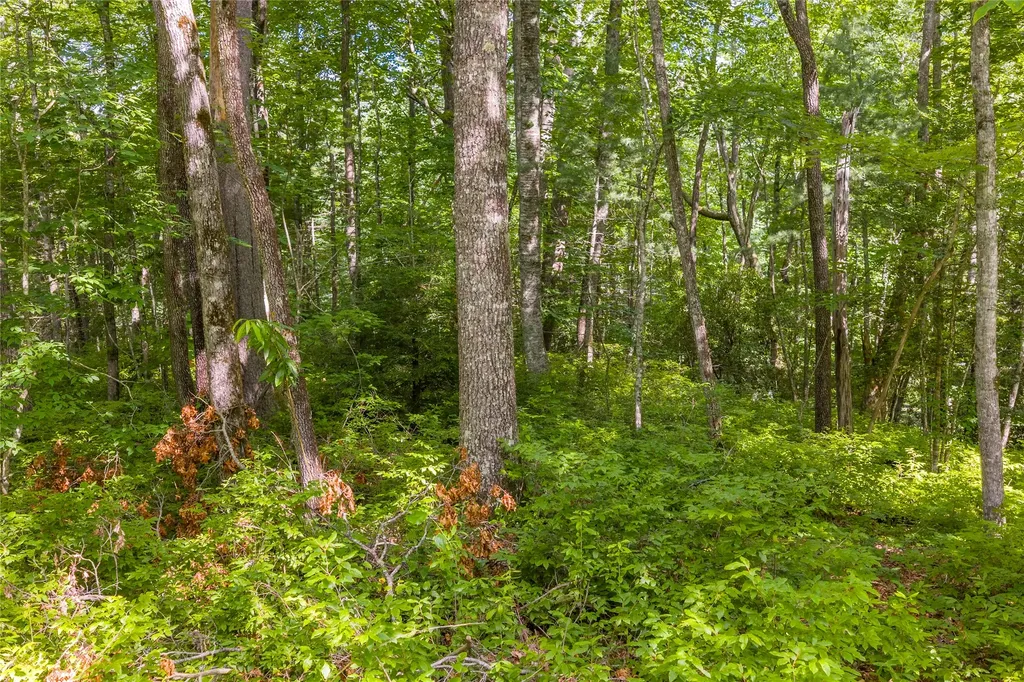 Lot 4 Laurel Drive Sapphire NC 28774