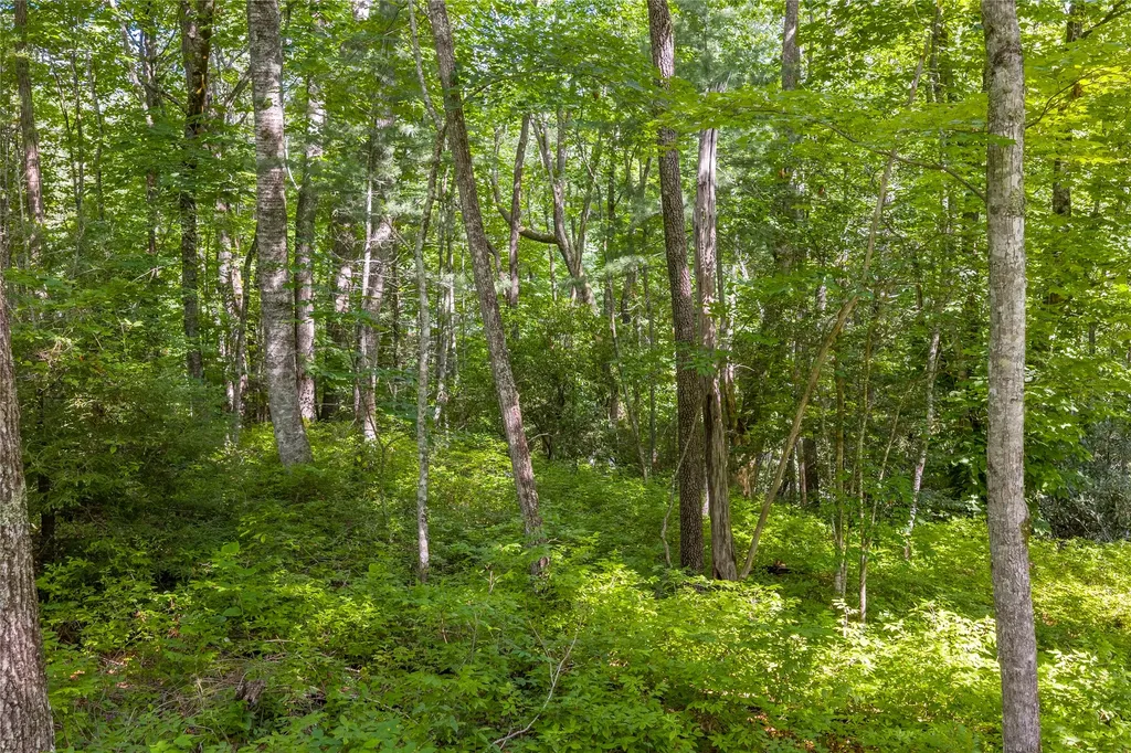 Lot 4 Laurel Drive Sapphire NC 28774