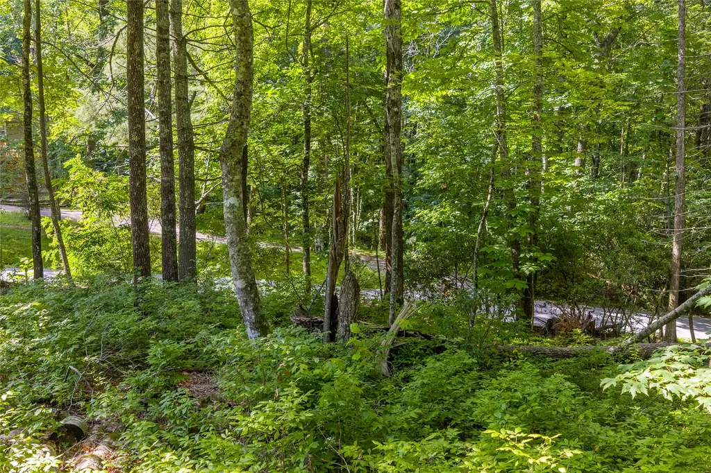 Lot 4 Laurel Drive Sapphire NC 28774