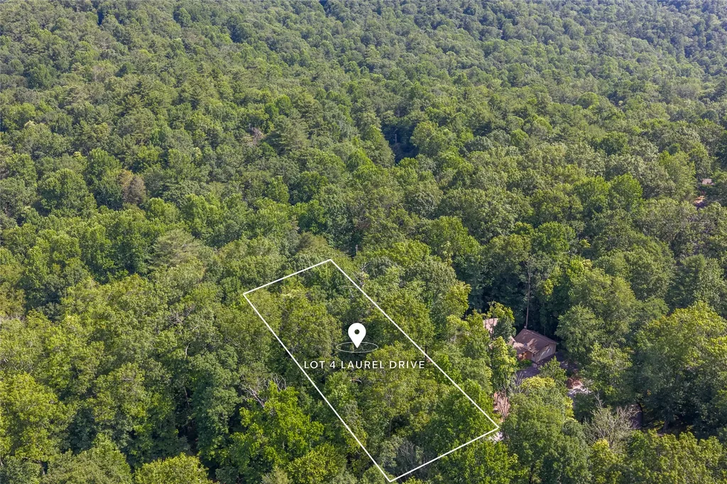 Lot 4 Laurel Drive Sapphire NC 28774