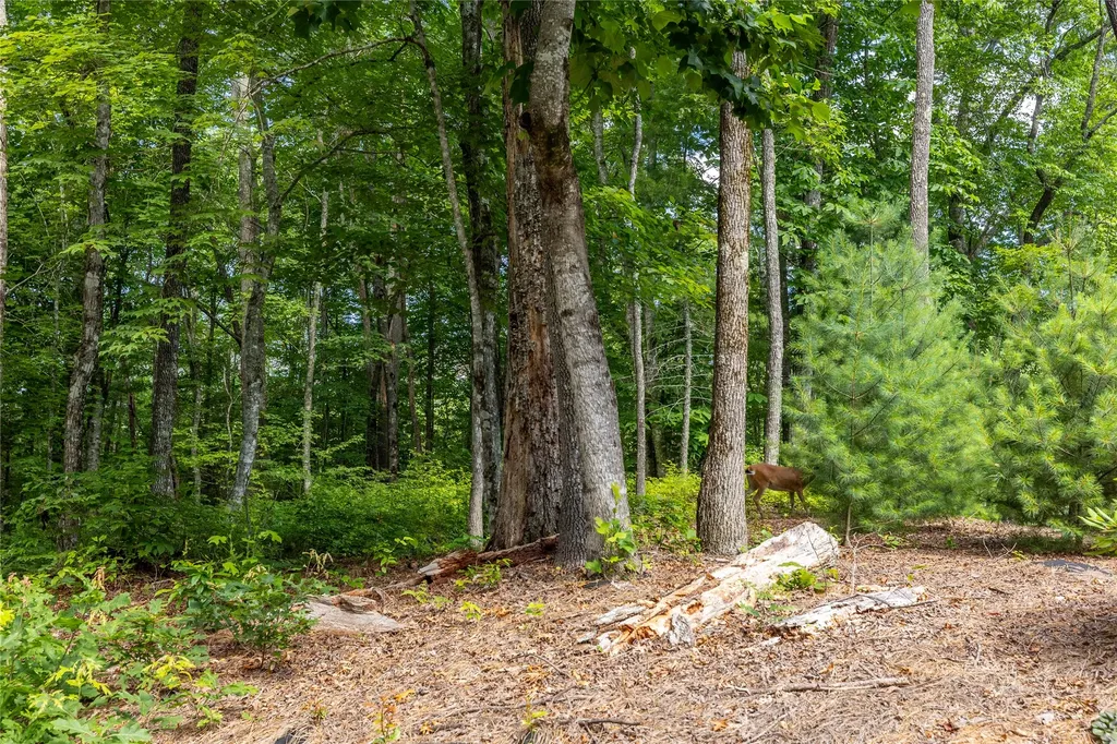 Lot 4 Laurel Drive Sapphire NC 28774