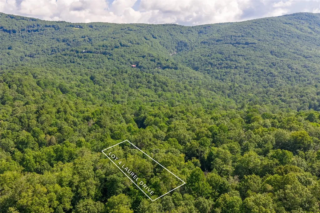 Lot 4 Laurel Drive Sapphire NC 28774