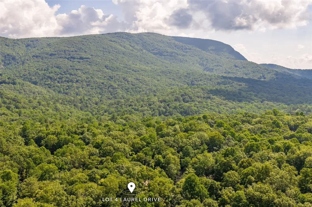 Lot 4 Laurel Drive Sapphire NC 28774