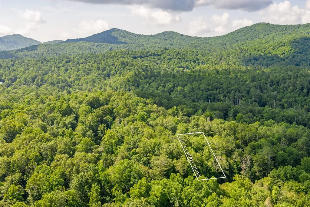 Lot 4 Laurel Drive Sapphire NC 28774