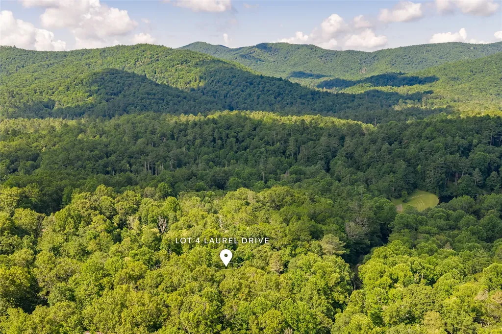 Lot 4 Laurel Drive Sapphire NC 28774