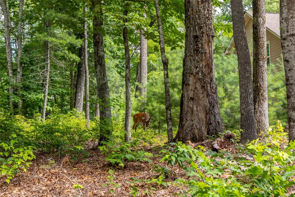 Lot 4 Laurel Drive Sapphire NC 28774