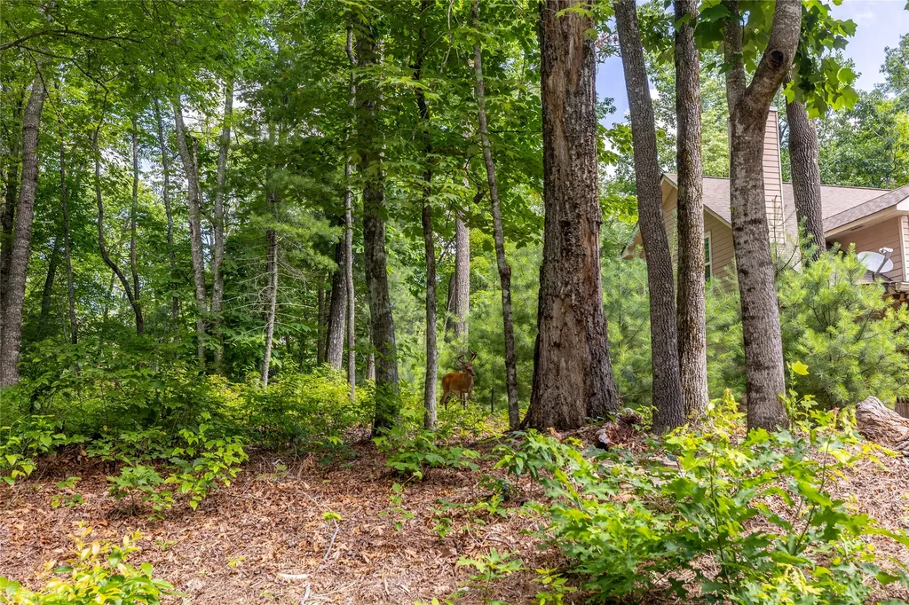 Lot 4 Laurel Drive Sapphire NC 28774