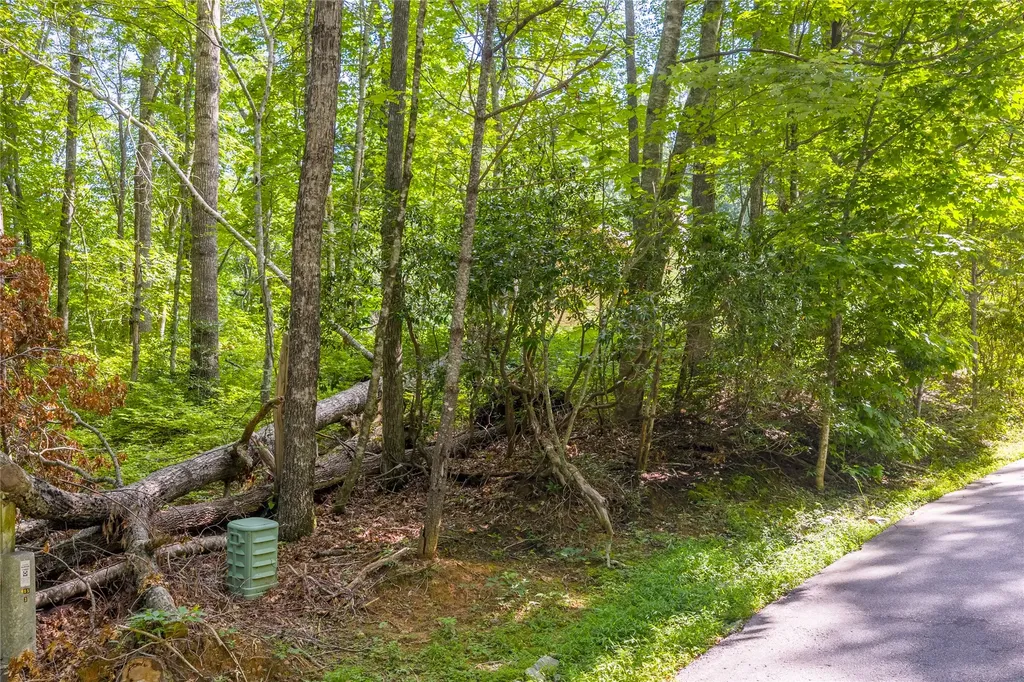 Lot 4 Laurel Drive Sapphire NC 28774